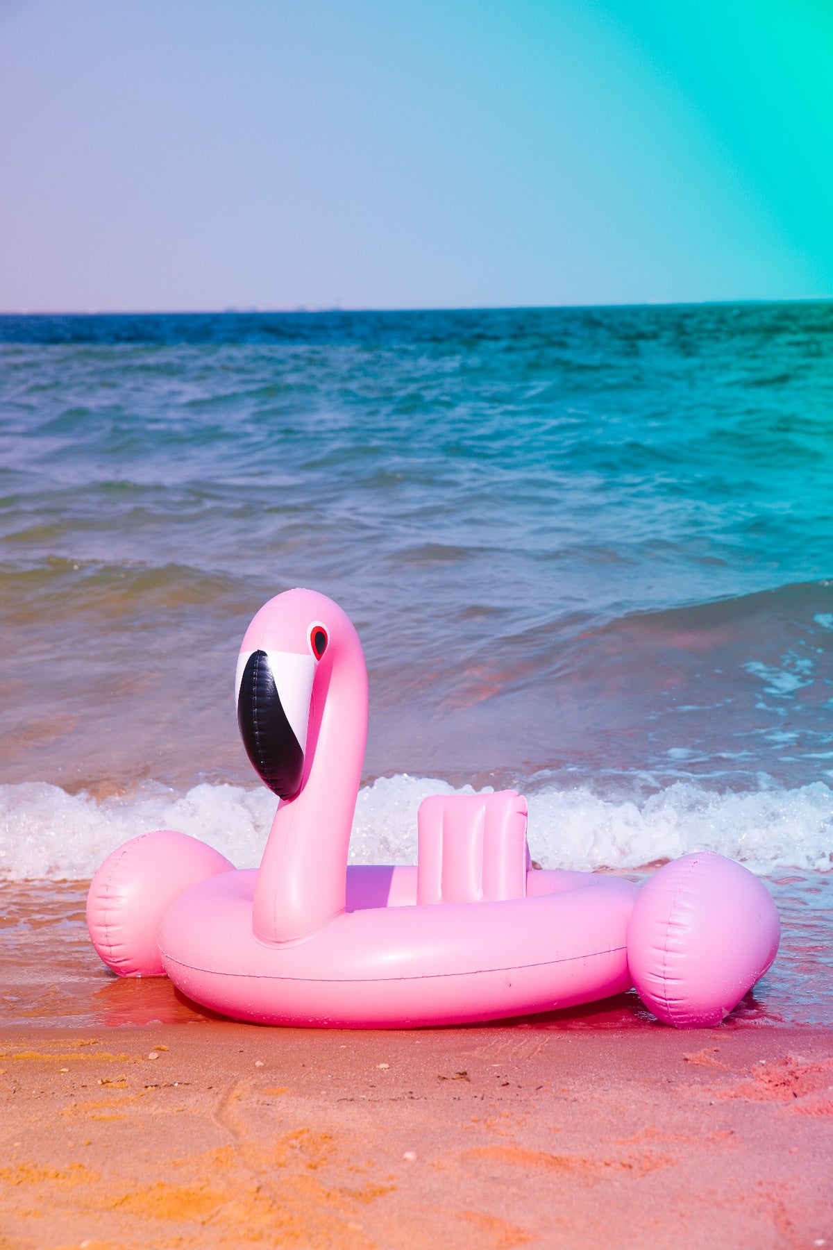 Baby Flamingo Float