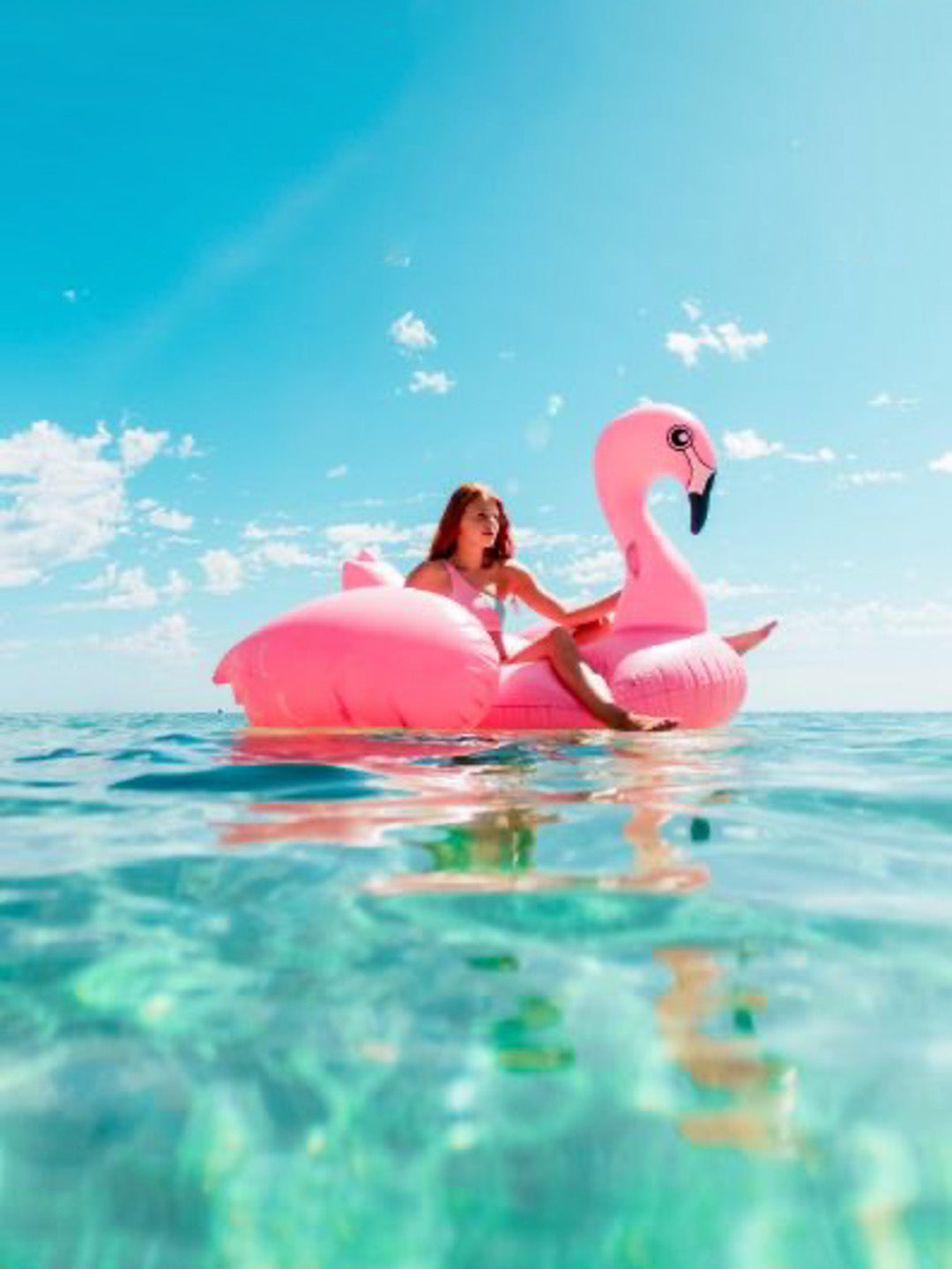 Giant Flamingo Float