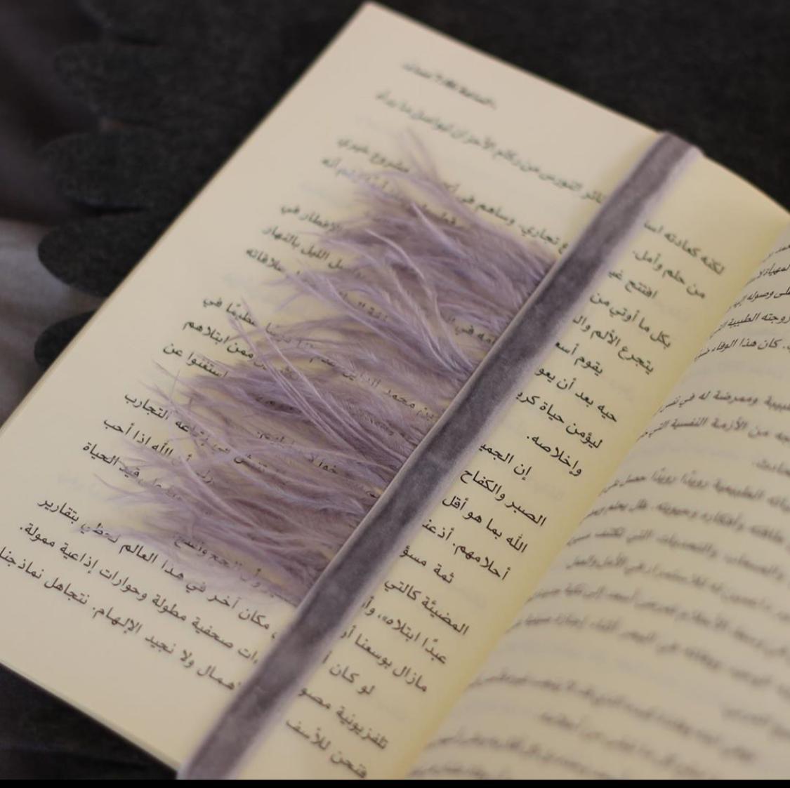 Jlees Bookmarks - Feathers